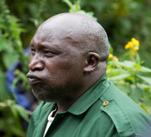 Franois Gorilla Imitation