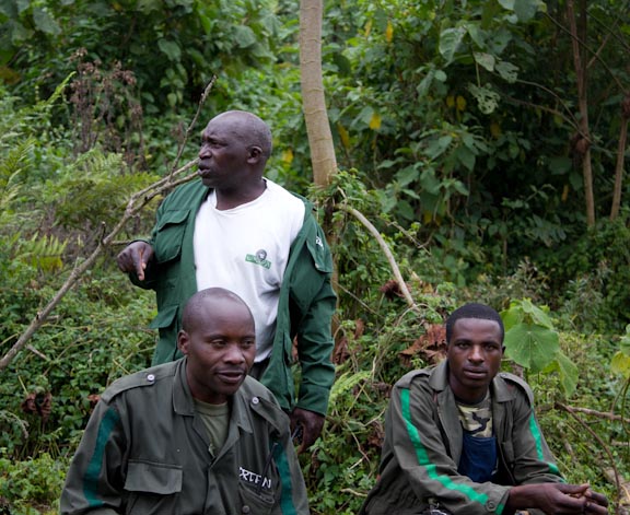 Final Gorilla Briefing