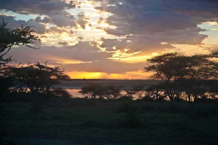 Serengeti
