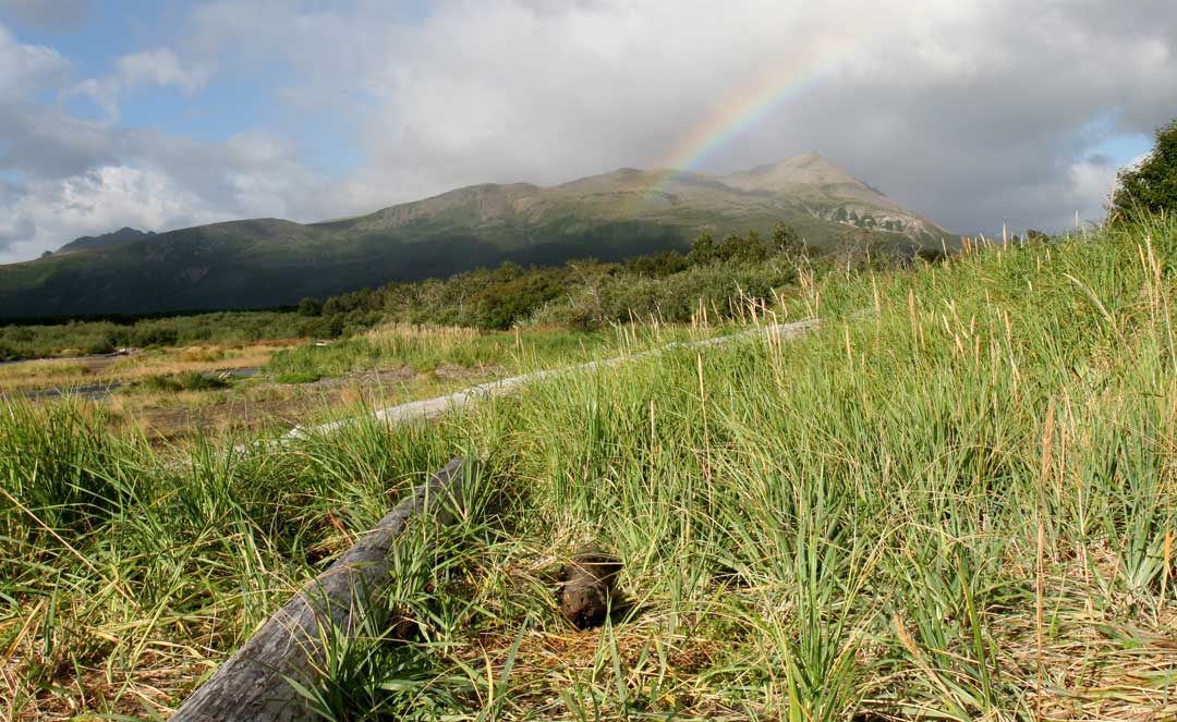 Alaska Rainbow