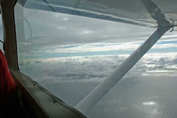 View outside airplane window.