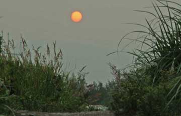 Orange sun due to smoke in air.
