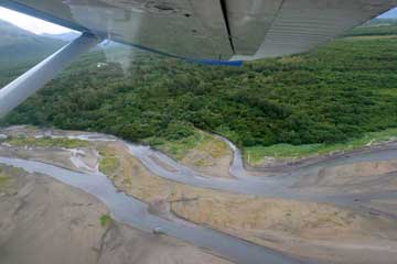 Aerial view of the streams where the bears do their fishing.