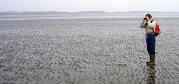 Dr. P standing in mud flats.