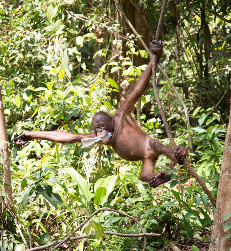 carecenter-juveniles4