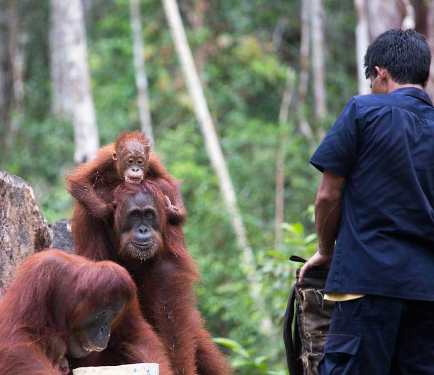 leakey-rangerfeeding
