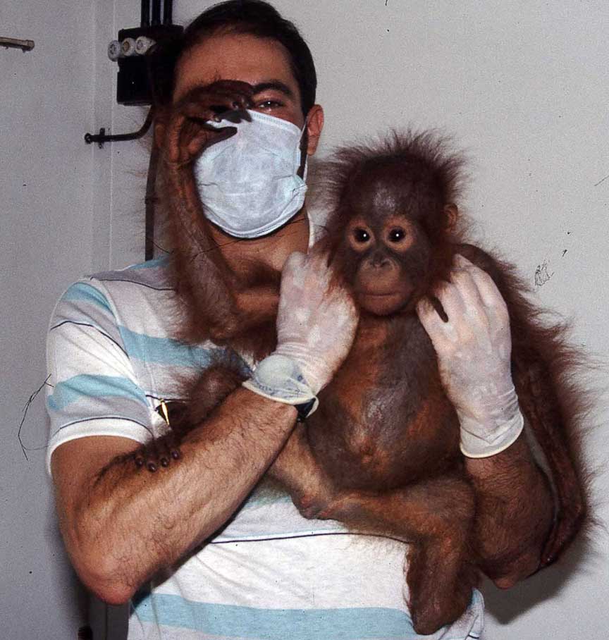 orangutan-cpbabyhand