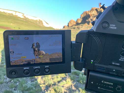 A picture on the screen of the video camera while filming the nomad hunting with his eagle