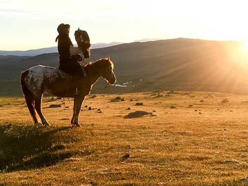 Master eagle falconer mounted on his horse with eagle on his arm at sunrise