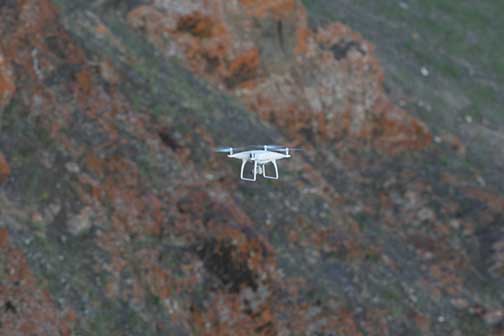 quasisecondeaglesnest