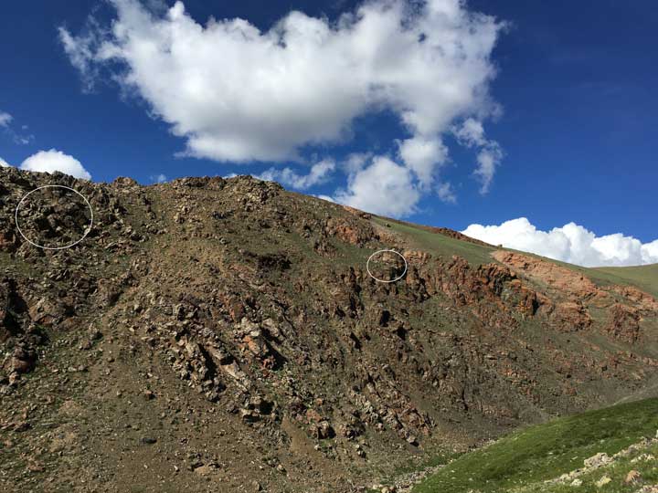 secondnestmtnslabeled