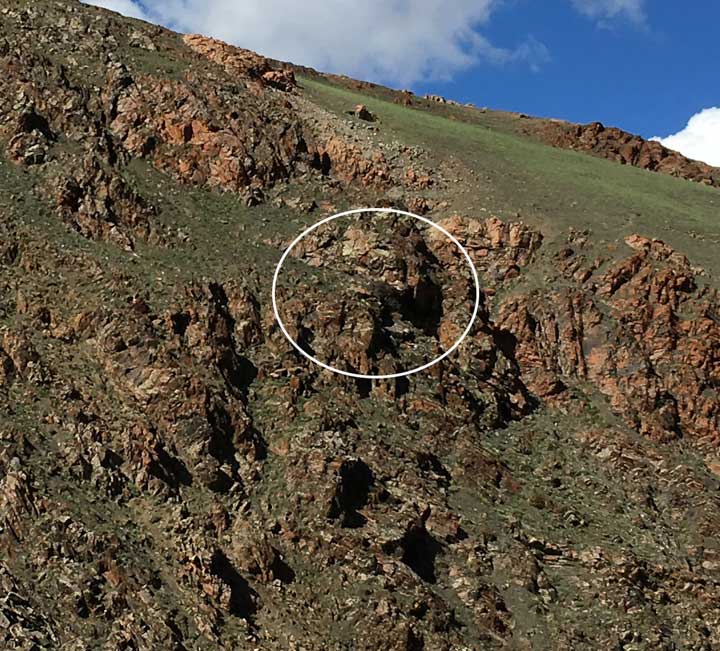 secondnestmtnslabeled1