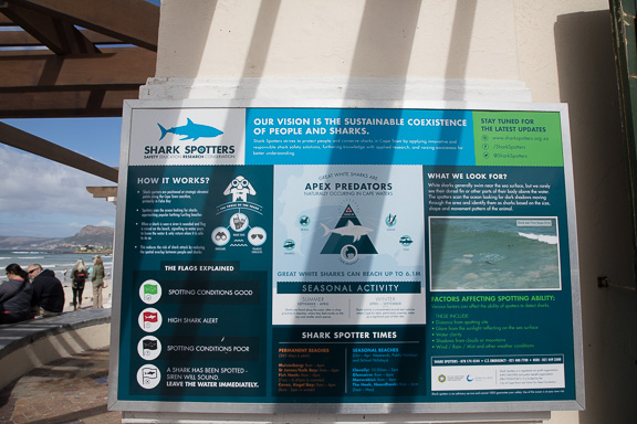 Cape-Town-South-Africa-16