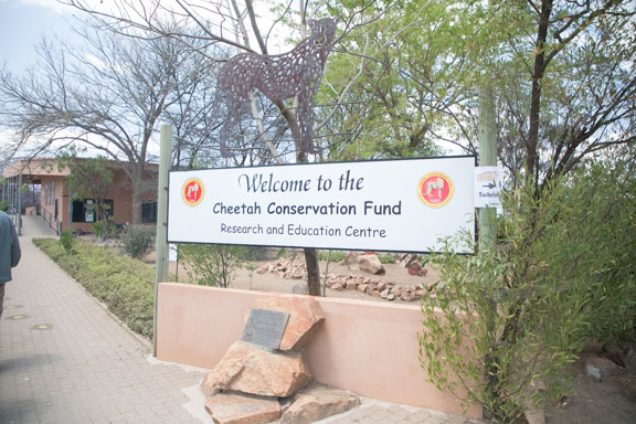 Cheetah-conservation-fund--sign