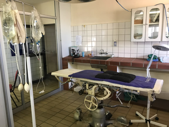 Cheetah-conservation-fund-surgery