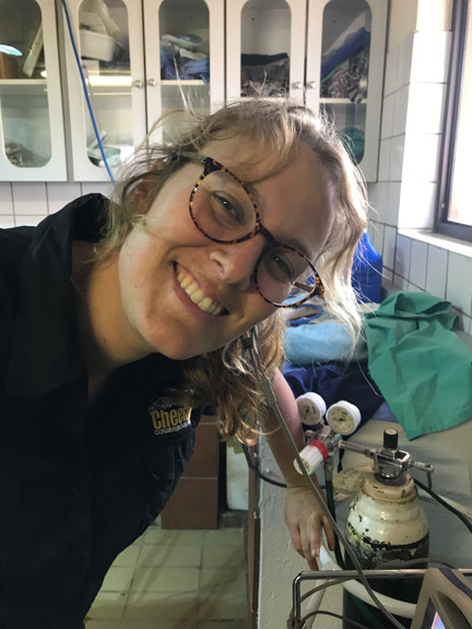 Cheetah-conservation-fund-vet-veterinarian