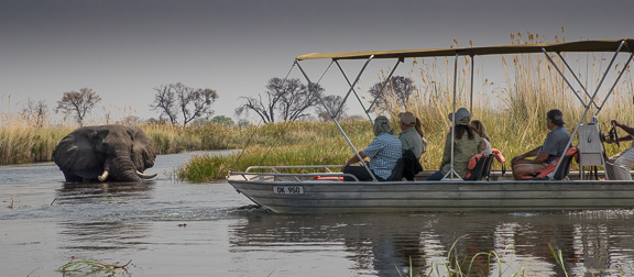 Elephant-Camp-Okavango-Botswana-25