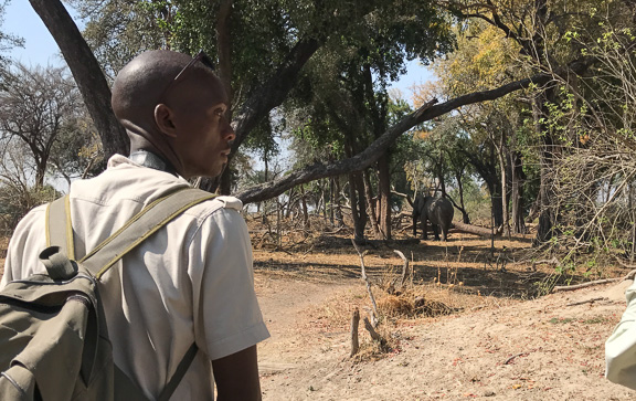 Elephant-Camp-Okavango-Botswana-30