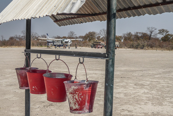 Lion-male-airstrip-Botswana-28