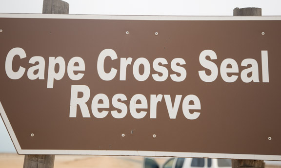 Namibia-skeleton-coast-cape-cross-fur-seals