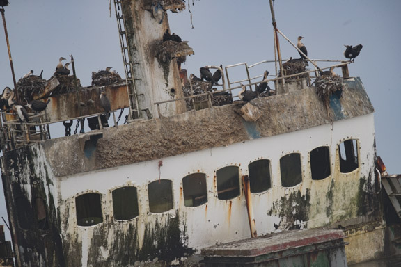 Namibia-skeleton-coast-shipwreck-3