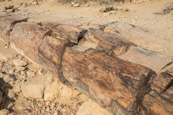 Twyfelfontein-namibia-petrified-forest