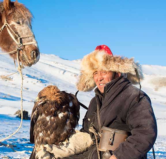 Golden eagle with horse