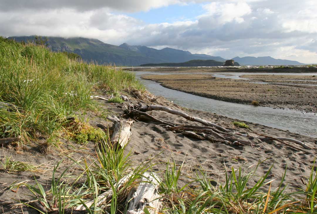 View of sandbar and stream.