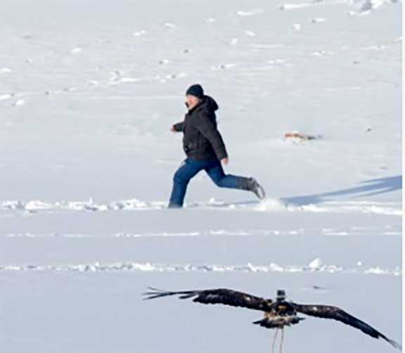 Man running from eagle