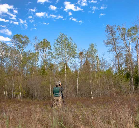 Eagle photography camera setup
