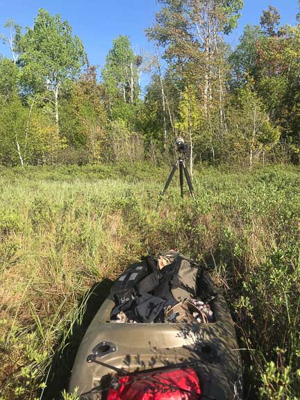 Eagle photography camera setup