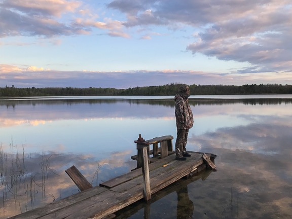 Eagle photography evening light at the dock
