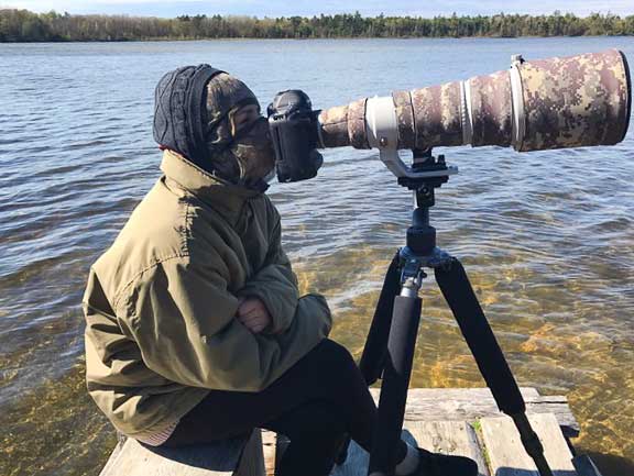 Eagle photography with a telephoto lens