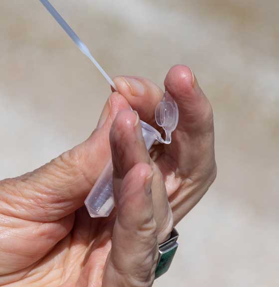 Submitting a DNA sample