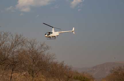 Helicopter looking for rhino