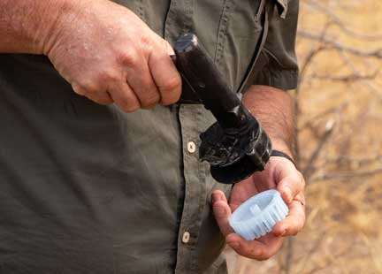Getting microchip ready in gun to insert into neck