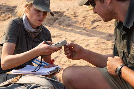 Using scanner to check microchip number