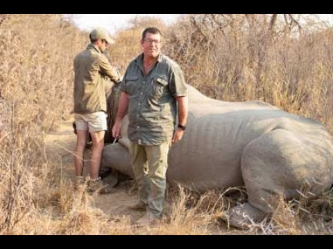 Wildlife vet talking about sedating a rhinoceros