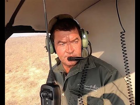 Helicopter view of sedating a rhinoceros