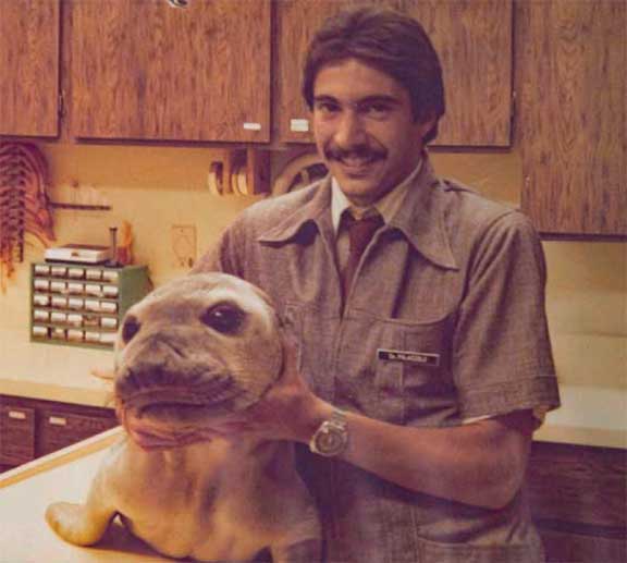 DrP holding head of baby elephant seal