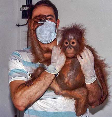 DrP holding baby orangutan after exam