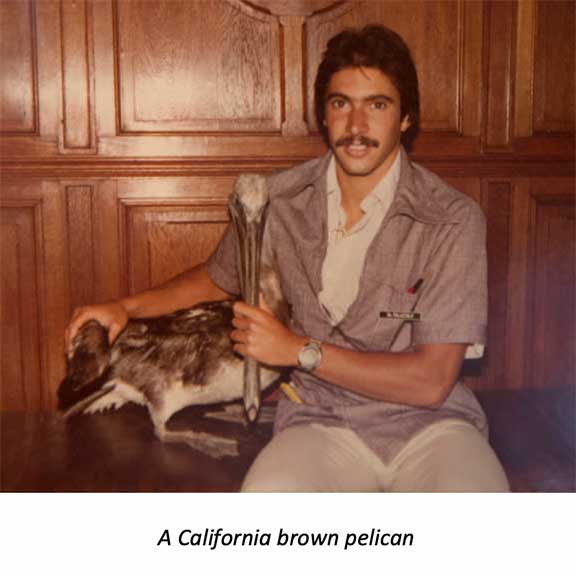 Dr P holding a pelican