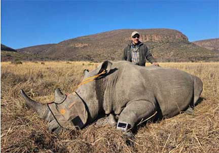 Dr P with sedated rhino for a radio collar to prevent poaching