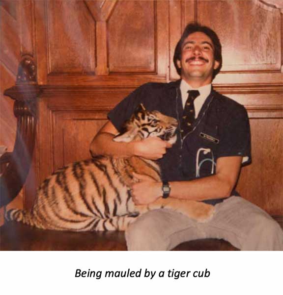 Dr P trying to restrain a tiger cub