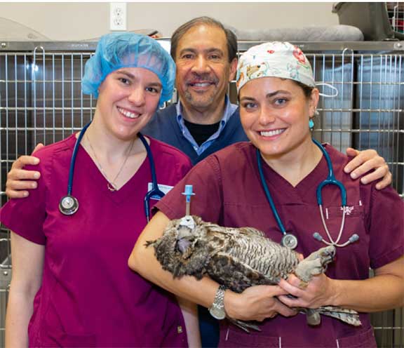 Student extern learning owl eye surgery