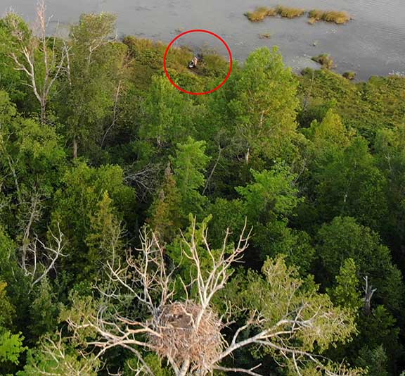 Pic of me taken from a drone at the eagle nest