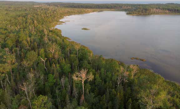 Drone view of lake from nest