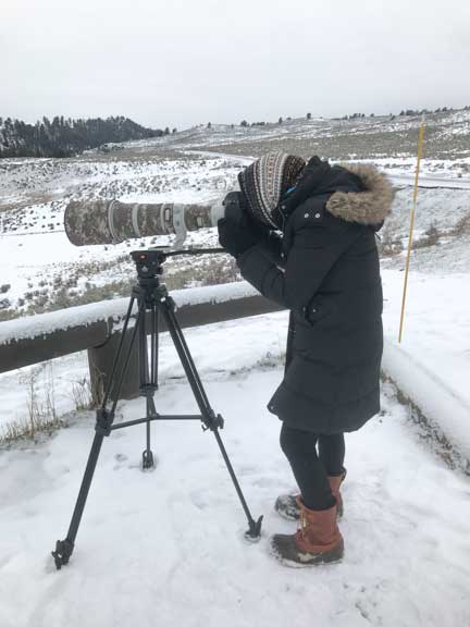 Camera with telephone lens on a tripod