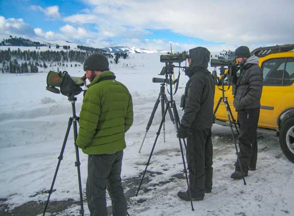 Wolf spotters with their spotting scopes