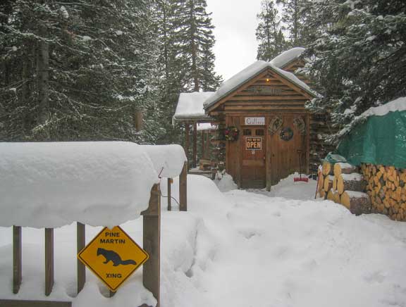 Yellowstone NP gallery in winter